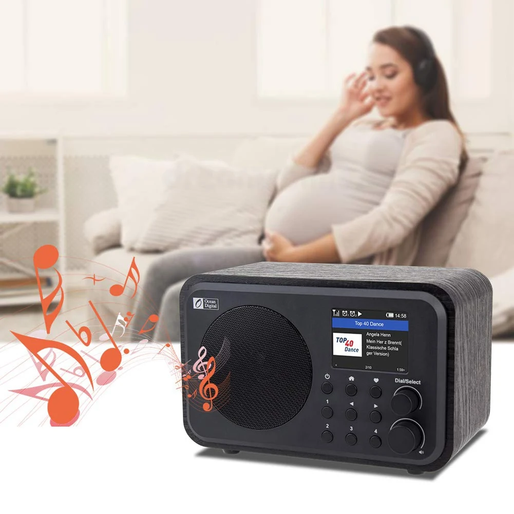 RISE-WiFi Internet Radios WR-336N Portable Digital Radio with Rechargeable Battery, Bluetooth Receiver 
RISE-WiFi Internet Radios WR-336N Portable Digital Radio with Rechargeable Battery, Bluetooth Receiver