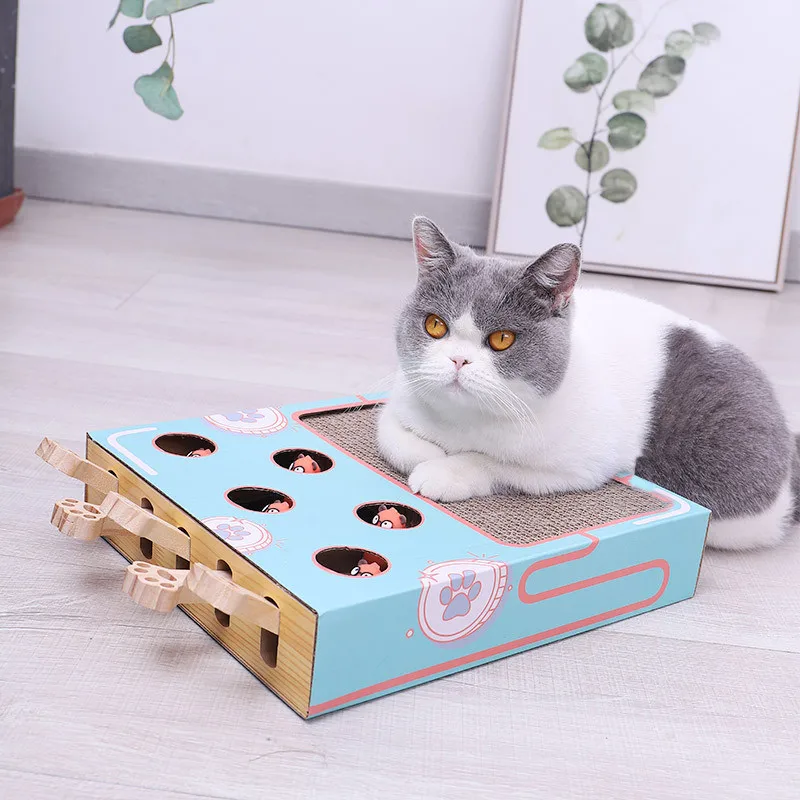 Игрушка для домашних животных, кошек, ударов по хомяка, игрушки, котенок, Интерактивная игрушка для кошек, Охотничья мышь, кошачья Дразнилка,...
Игрушка для домашних животных, кошек, ударов по хомяка, игрушки, котенок, Интерактивная игрушка для кошек, Охотничья мышь, кошачья Дразнилка,...