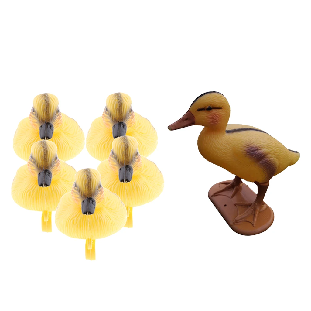 6 шт. плавающая утка утят украшение для пруда Пластик манок кряква Lifesize
6 шт. плавающая утка утят украшение для пруда Пластик манок кряква Lifesize