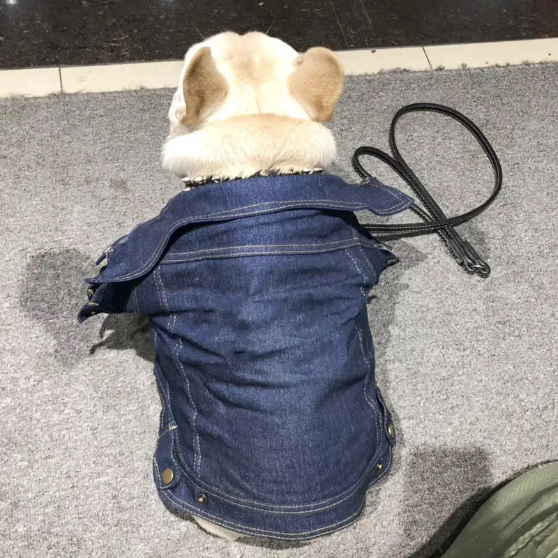 Dog clothes autumn and winter clothes small dogs pet clothes fashion jackets made old denim jackets