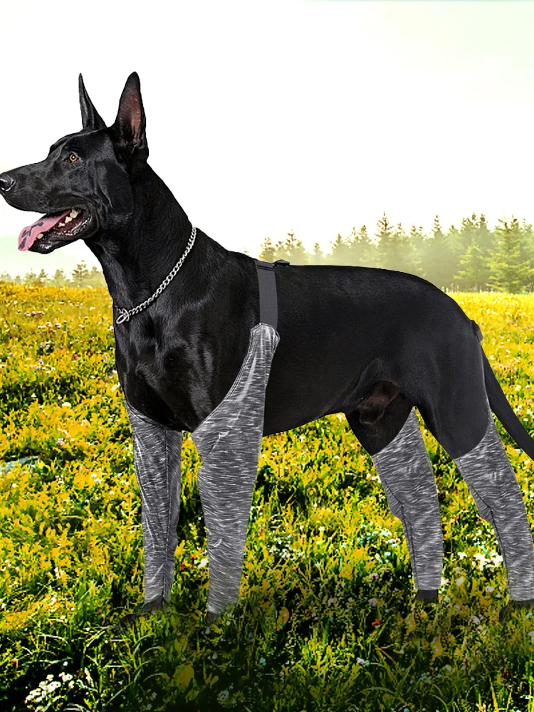 New Dog Products Outdoor Four Legged Pants Dog Sling Leg Cover Waterproof Anti Dirty Anti Urine Leg Universal Puppy Shoes
New Dog Products Outdoor Four Legged Pants Dog Sling Leg Cover Waterproof Anti Dirty Anti Urine Leg Universal Puppy Shoes