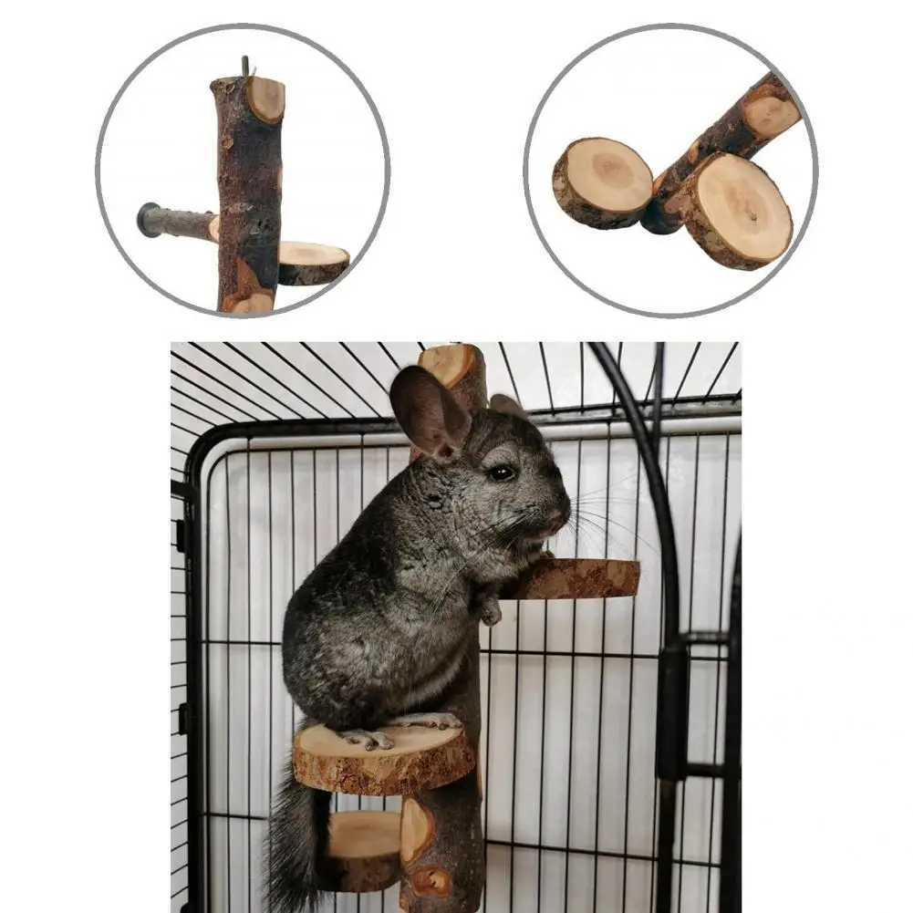 Sturdy Small Animal Climbing Platform Chinchilla Stand Creative Play Ground
Sturdy Small Animal Climbing Platform Chinchilla Stand Creative Play Ground