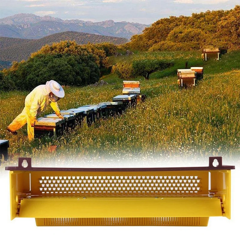 Plastic Pollen Trap Bee Keeping Tools Tray Entrance Pollen Collector Beekeeper Beekeeping Supplies Tools
Plastic Pollen Trap Bee Keeping Tools Tray Entrance Pollen Collector Beekeeper Beekeeping Supplies Tools