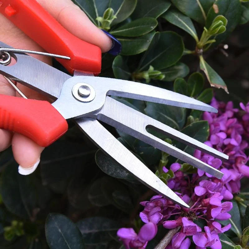 Double-port Fruit And Flower Thinning Shears Garden Pruner Cut Secateur Shrub Scissor Fruit Tree Flower Cultivating Hand Tools
Double-port Fruit And Flower Thinning Shears Garden Pruner Cut Secateur Shrub Scissor Fruit Tree Flower Cultivating Hand Tools