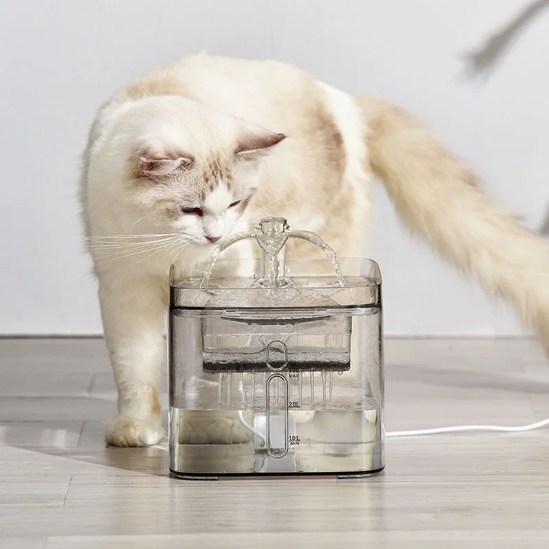 Cat Automatic Feeders Dog Drinking Fountain Automatic Circulating Water Constant Warm Heating Pet Bowl Pet Water Fountain
Cat Automatic Feeders Dog Drinking Fountain Automatic Circulating Water Constant Warm Heating Pet Bowl Pet Water Fountain