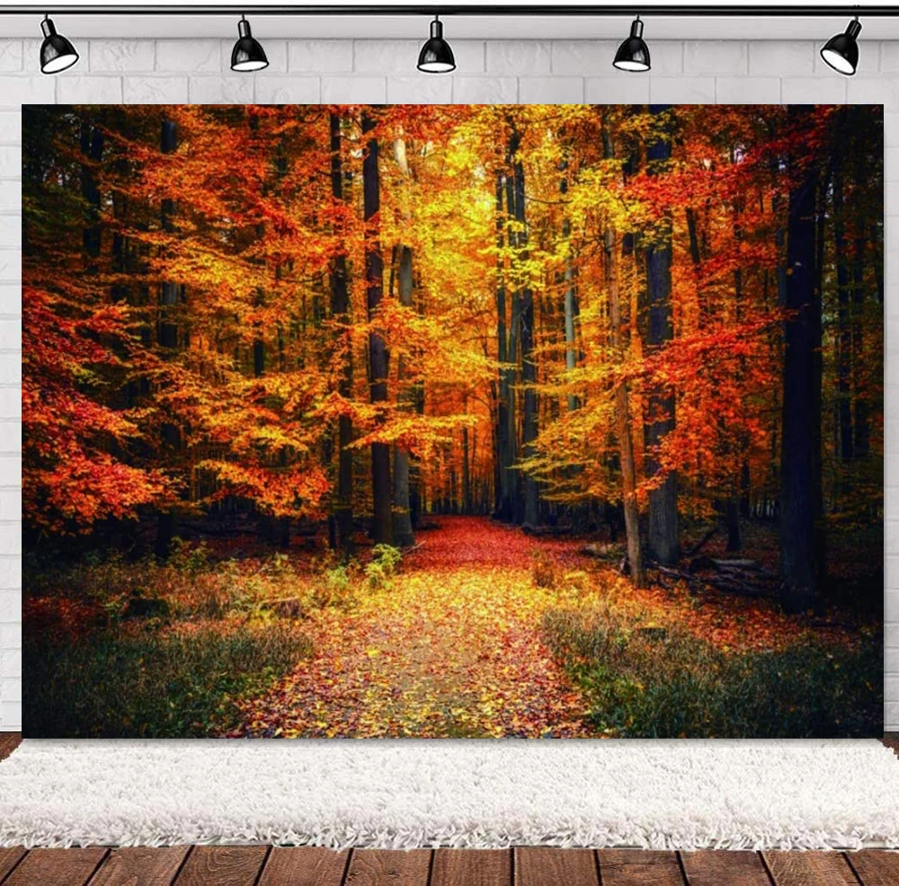 

Autumn Scenery Photography Backdrop Fall Forest Path Fallen Golden Leaves Trees Park Scenic Wild Nature Landscape Background