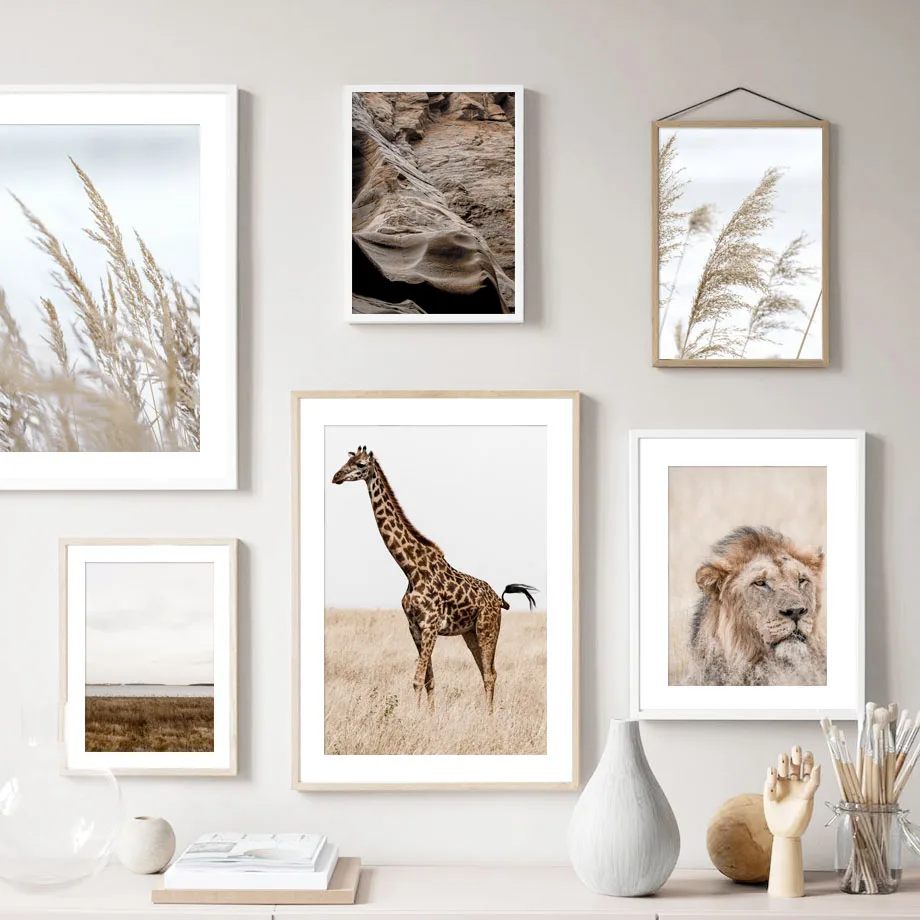 Lion Giraffe Reed Wild Landscape Wall Art Canvas Painting Nordic Posters And Prints Wall Pictures For Living Room Home Decor
Lion Giraffe Reed Wild Landscape Wall Art Canvas Painting Nordic Posters And Prints Wall Pictures For Living Room Home Decor