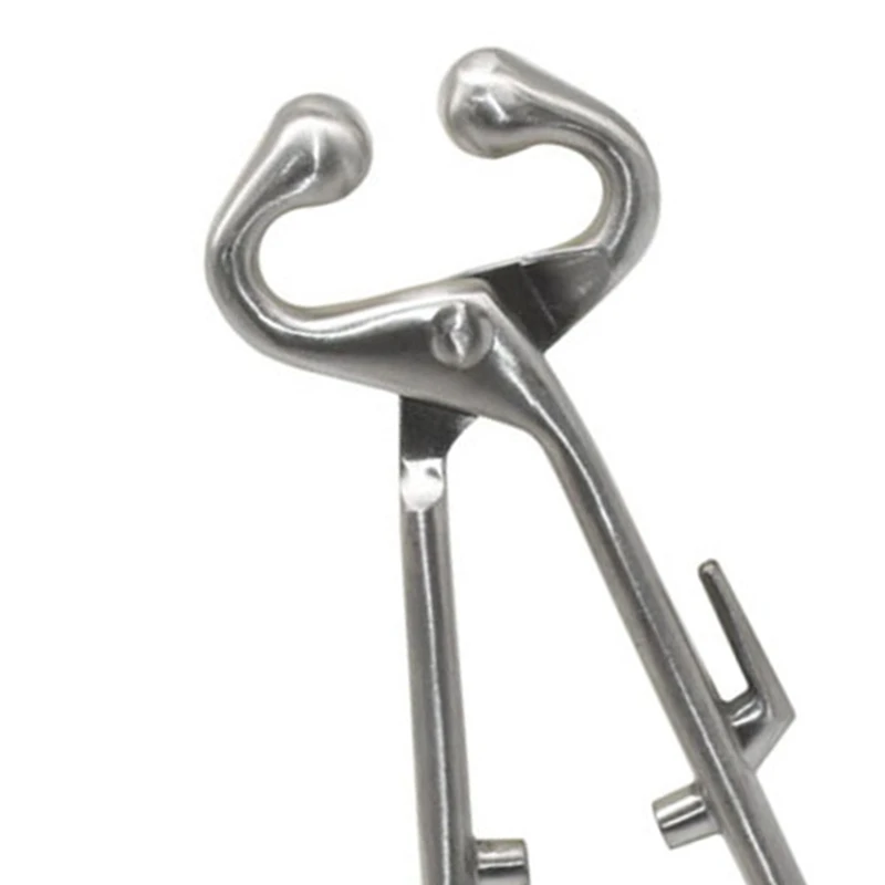 Farm Cattle Livestock Tool Stainless Steel Cow Nose Ring Pliers Bull Cattle Bovine with Chain Pulling Tool 
Farm Cattle Livestock Tool Stainless Steel Cow Nose Ring Pliers Bull Cattle Bovine with Chain Pulling Tool