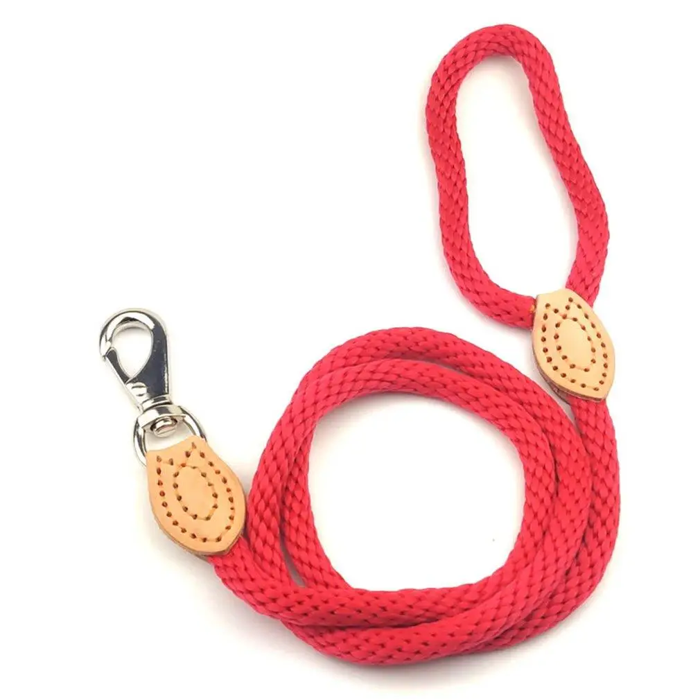 P Chain Dog Leash Slip Collar pet Walking Leads Nylon Dog Mountain Climbing Rope puppy pet Traction For small Medium Large Dogs
P Chain Dog Leash Slip Collar pet Walking Leads Nylon Dog Mountain Climbing Rope puppy pet Traction For small Medium Large Dogs