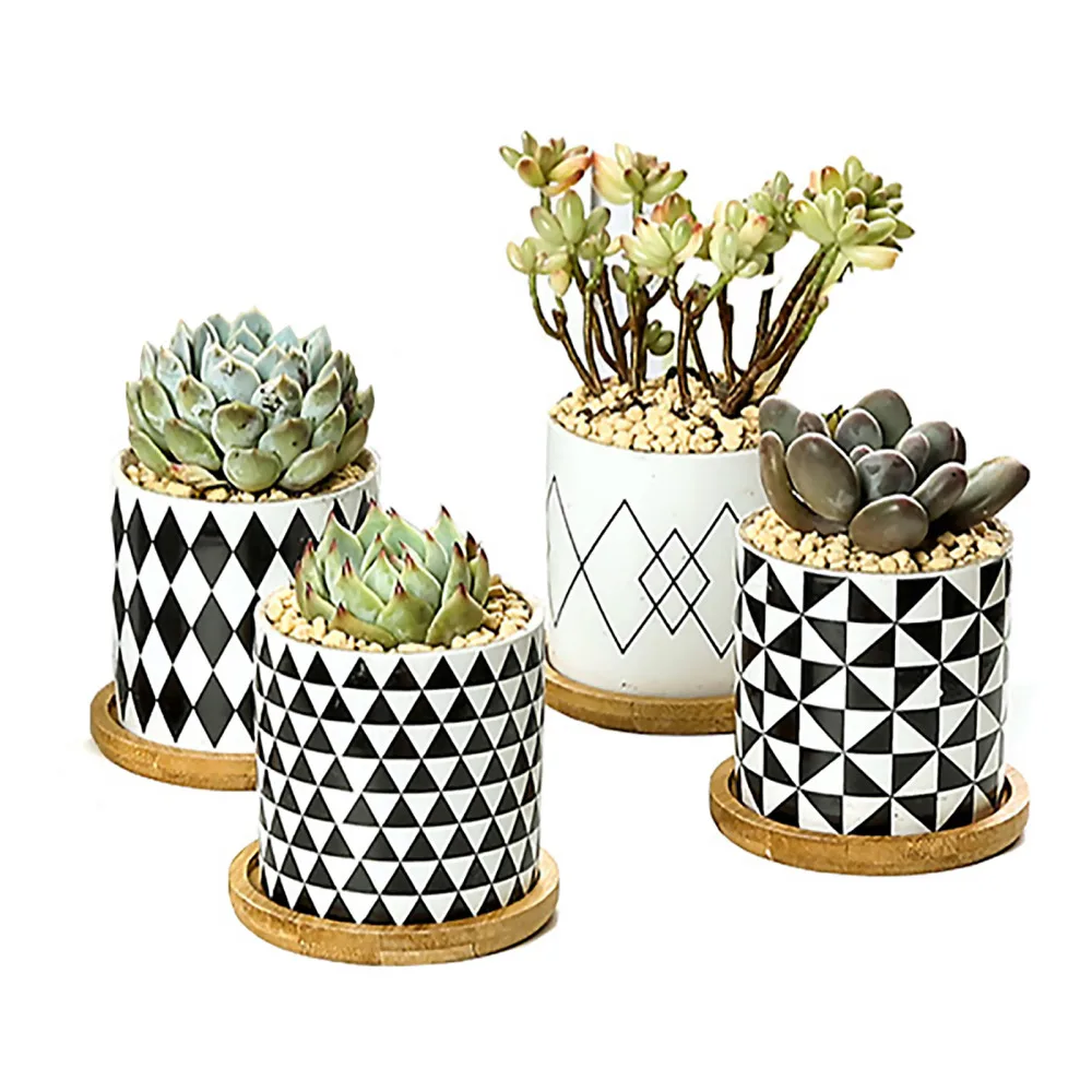 Ceramic Pot Coaster Flowerpots 4 Pcs With Drainage Garden Planter Home Decor Ideal Gift Marble Spot Pattern Succulent Pots
Ceramic Pot Coaster Flowerpots 4 Pcs With Drainage Garden Planter Home Decor Ideal Gift Marble Spot Pattern Succulent Pots