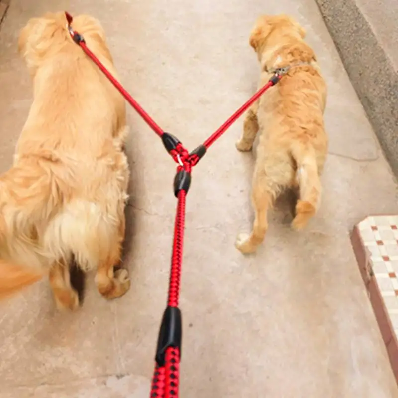 1.4M Durable Double Dog Leash Coupler Strong Dual 360° No Tangle Pet Leash Lead For 2 Dogs
1.4M Durable Double Dog Leash Coupler Strong Dual 360° No Tangle Pet Leash Lead For 2 Dogs