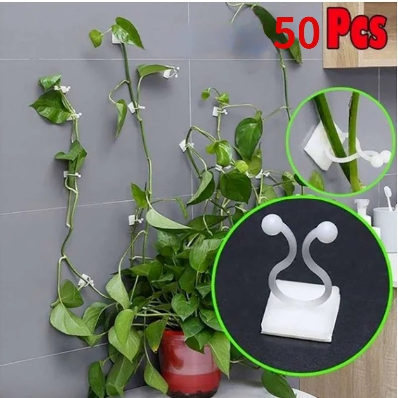50Pcs Plastic Invisible Wall Vines Fixture Wall Sticky Hook Self Adhesive Vines Fixing Clip Vines Holder for Garden Home
50Pcs Plastic Invisible Wall Vines Fixture Wall Sticky Hook Self Adhesive Vines Fixing Clip Vines Holder for Garden Home