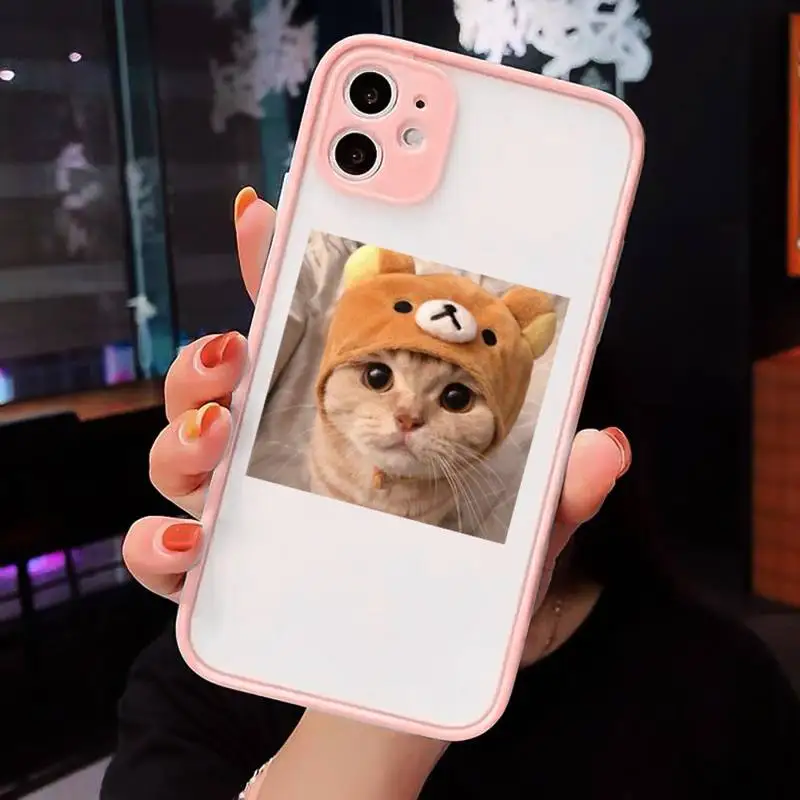 Cute Cat Phone Cases Matte Transparent For iPhone 12 Mini 11 Pro XR XS Max 7 8 Plus
Cute Cat Phone Cases Matte Transparent For iPhone 12 Mini 11 Pro XR XS Max 7 8 Plus