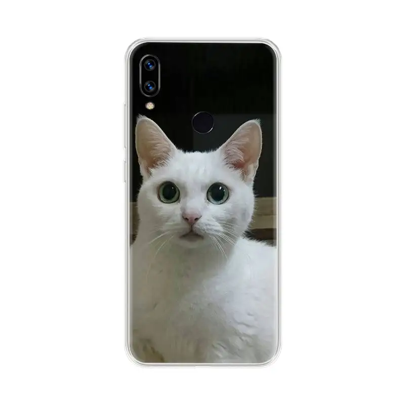 squishy lovely cat Phone Case For OPPO F 1S 7 9 K1 A77 F3 RENO F11 A5 A9 2020 A73S R15 REALME PRO 
squishy lovely cat Phone Case For OPPO F 1S 7 9 K1 A77 F3 RENO F11 A5 A9 2020 A73S R15 REALME PRO