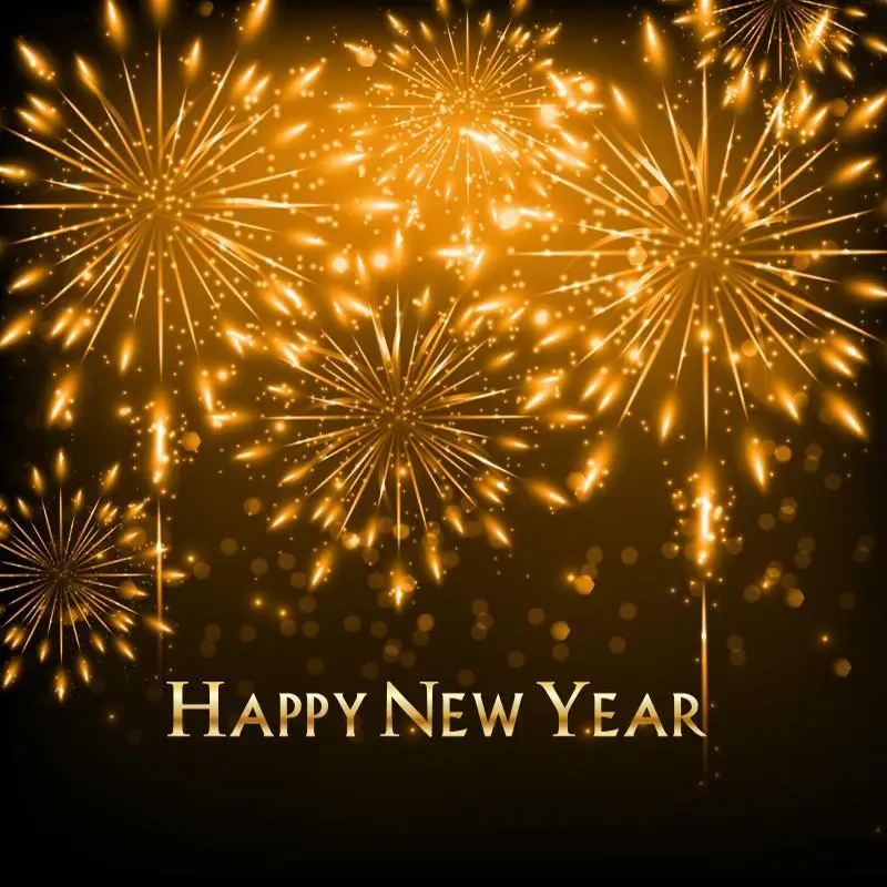 Happy New Year Fireworks Backdrop 2021 New Year Party Decoration Photo Shoot Photography Background for Photo Booth
Happy New Year Fireworks Backdrop 2021 New Year Party Decoration Photo Shoot Photography Background for Photo Booth