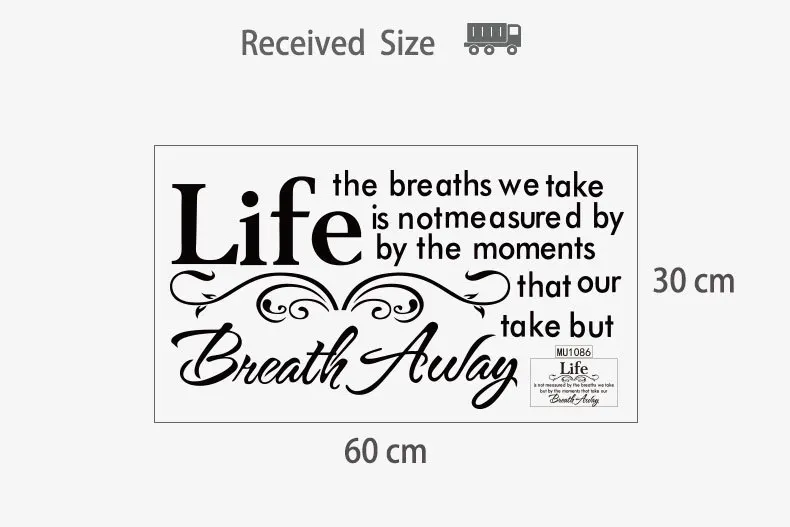 Free Shipping Removable Waterproof Wall Stickers bedroom living room TV background wall decoration Lithops & Adenium obesum W10
Free Shipping Removable Waterproof Wall Stickers bedroom living room TV background wall decoration Lithops & Adenium obesum W10