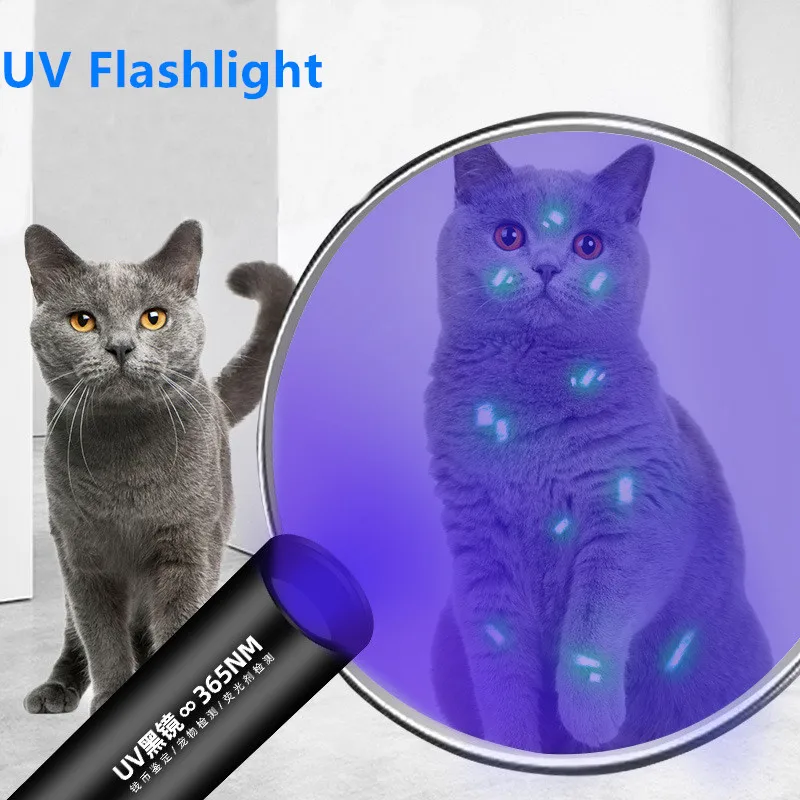 UV Flashlight Black Light 1200mAh Mini 365nm LED Detector For Cat/Dog Urine Pet Stains Bed Bug
UV Flashlight Black Light 1200mAh Mini 365nm LED Detector For Cat/Dog Urine Pet Stains Bed Bug