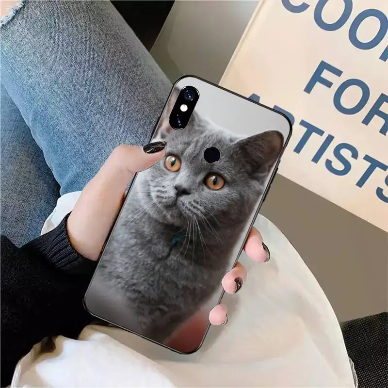 British shorthair cat Phone Case For Xiaomi Redmi 7 8 9t a3 9se k20 mi8 max3 lite 9 note 9s 10 pro
British shorthair cat Phone Case For Xiaomi Redmi 7 8 9t a3 9se k20 mi8 max3 lite 9 note 9s 10 pro