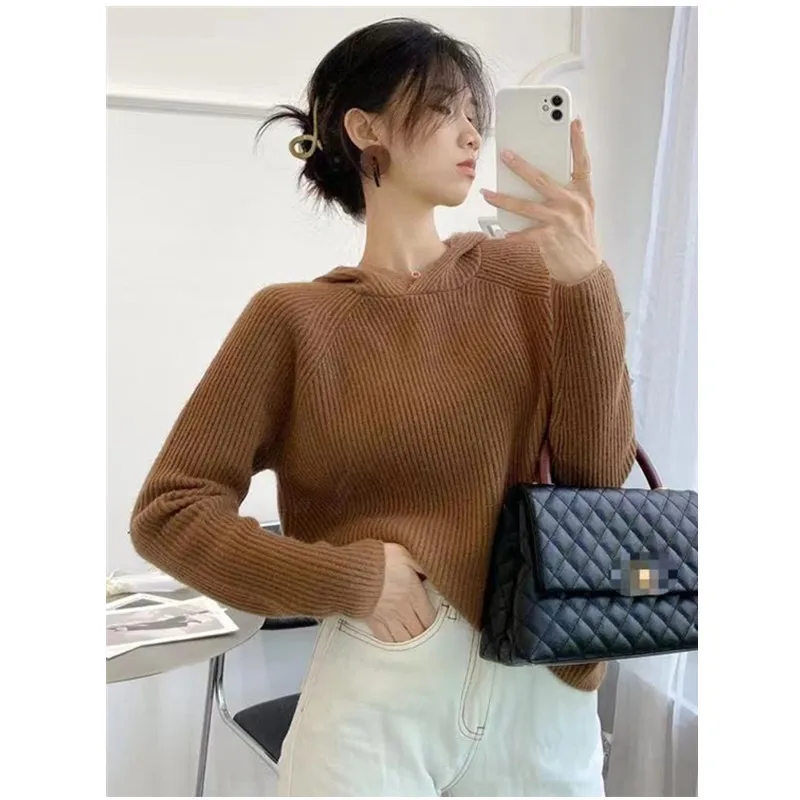 Sparsil Winter Knitted Hooded Sweater Women 80% Wool Jumpers Retractable Hat Woollen Pullovers Long Sleeve Warm Knitwear Female
Sparsil Winter Knitted Hooded Sweater Women 80% Wool Jumpers Retractable Hat Woollen Pullovers Long Sleeve Warm Knitwear Female