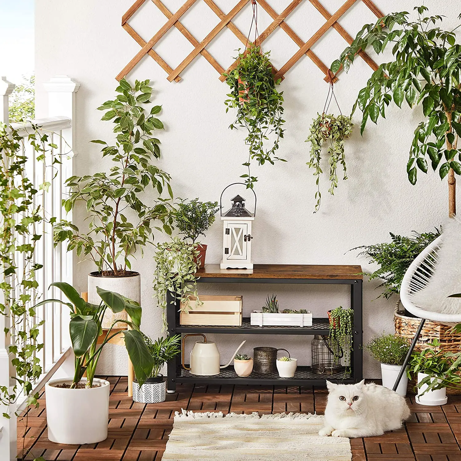 Shoe Bench 3 Tier Long Storage Shelves Rustic Brown and Black Shoe Rack 28.7 Inches J8
Shoe Bench 3 Tier Long Storage Shelves Rustic Brown and Black Shoe Rack 28.7 Inches J8