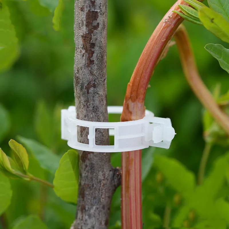 

50pcs Durable Plastic Plant Support Clips For Types Plants Hanging Vine Garden Greenhouse Vegetables Garden Ornament