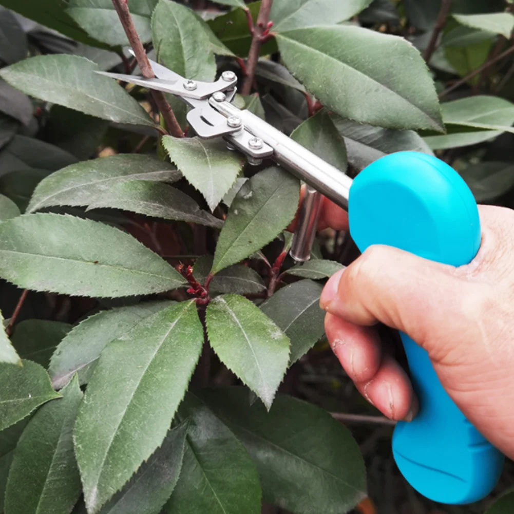 Pruning Shear Labor-Saving Hand Pruner Bonsai Plant Trimming Scissors With Shape Blade Fruit Branch Clipper For Gardening
Pruning Shear Labor-Saving Hand Pruner Bonsai Plant Trimming Scissors With Shape Blade Fruit Branch Clipper For Gardening