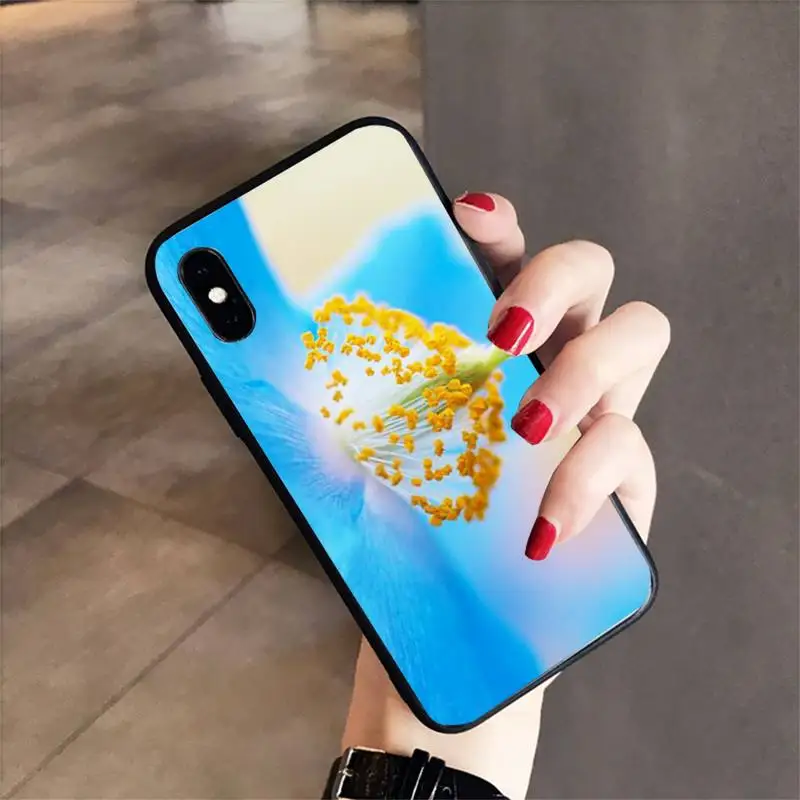 Babaite Meconopsis blue flower Soft Phone Case Capa for samsunga30 s 40 s8 20 huaweinova7pro 8x honor 10i redminote8pro
Babaite Meconopsis blue flower Soft Phone Case Capa for samsunga30 s 40 s8 20 huaweinova7pro 8x honor 10i redminote8pro