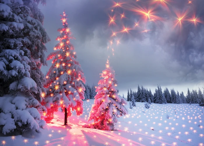Photography Background Winter Snowflake Christmas Tree Flash Decoration Christmas Backdrops for Photo Studio Backdrop Photocall
Photography Background Winter Snowflake Christmas Tree Flash Decoration Christmas Backdrops for Photo Studio Backdrop Photocall