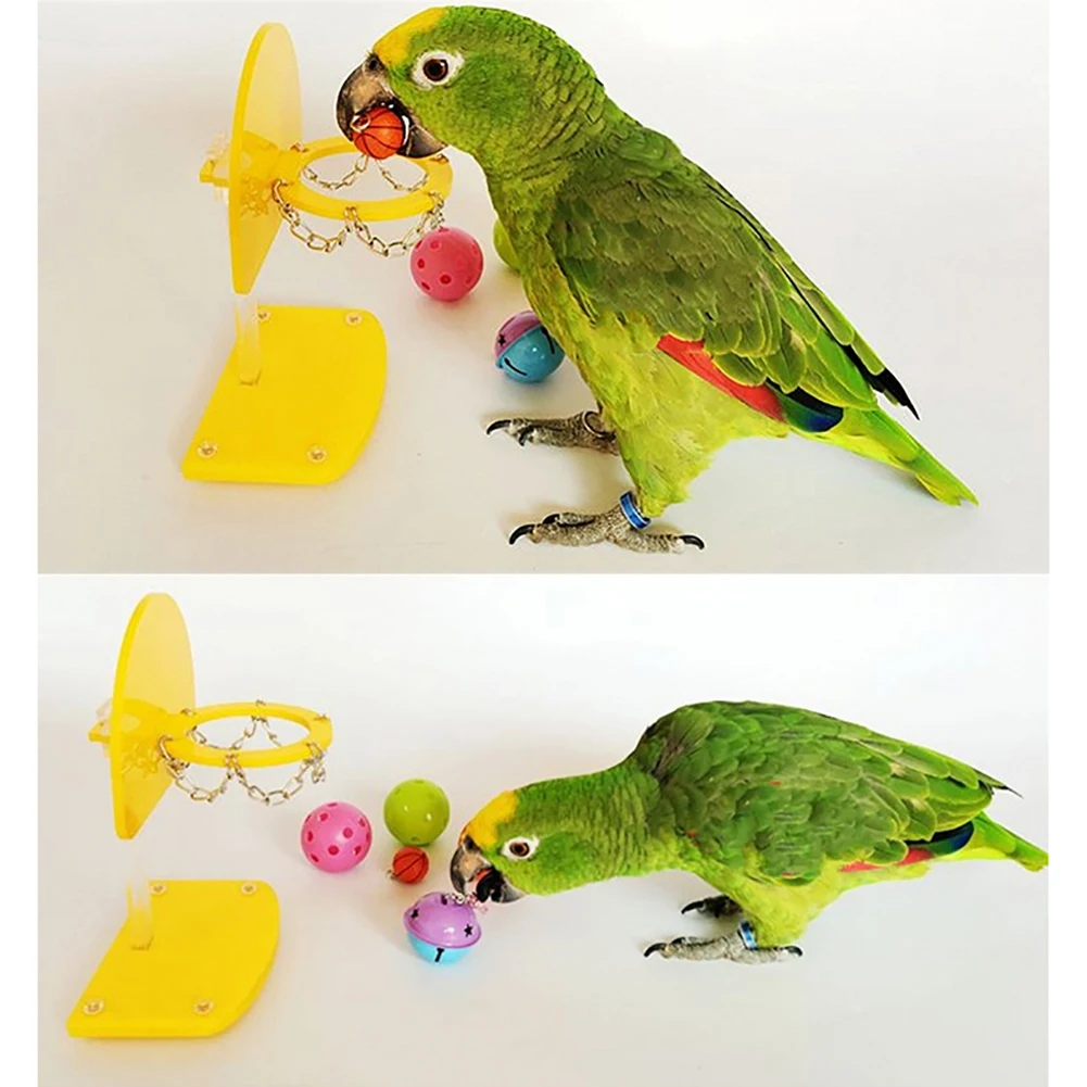 Bird Intellective Mini Basketball Rack Training Toy for Pet Parrot Parakeet Cockatiels Cage Toy Chew Bites Pet Supplies(Blue)
Bird Intellective Mini Basketball Rack Training Toy for Pet Parrot Parakeet Cockatiels Cage Toy Chew Bites Pet Supplies(Blue)