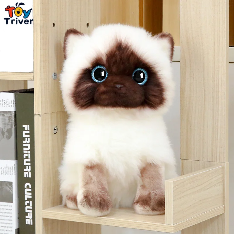 Kawaii Таиландская сиамская кошка, плюшевые игрушки, мягкие животные, кукла, дети, дети, мальчики, девочки, подарки на день рождения, домашняя ис...
Kawaii Таиландская сиамская кошка, плюшевые игрушки, мягкие животные, кукла, дети, дети, мальчики, девочки, подарки на день рождения, домашняя ис...