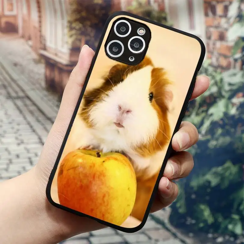 cute animal Guinea pig Slim Phone Case for iPhone 11 12 mini pro XS MAX 8 7 6 6S Plus X 5S SE 2020 XR
cute animal Guinea pig Slim Phone Case for iPhone 11 12 mini pro XS MAX 8 7 6 6S Plus X 5S SE 2020 XR
