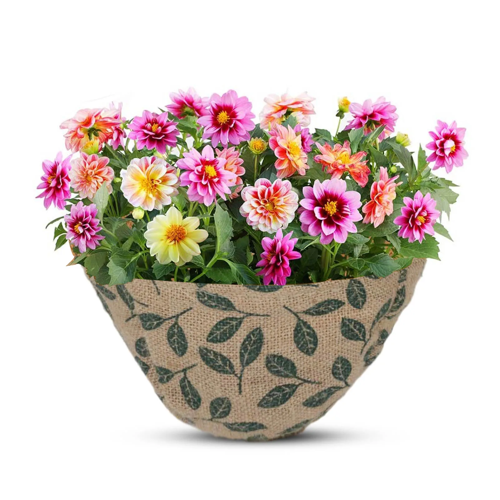 Plant Liners Decorative Flower Pot Coconut Palm Hanging Basket Linen Waterproof Oxford Coir Flower Pots For Wedding Garden Decor 
Plant Liners Decorative Flower Pot Coconut Palm Hanging Basket Linen Waterproof Oxford Coir Flower Pots For Wedding Garden Decor