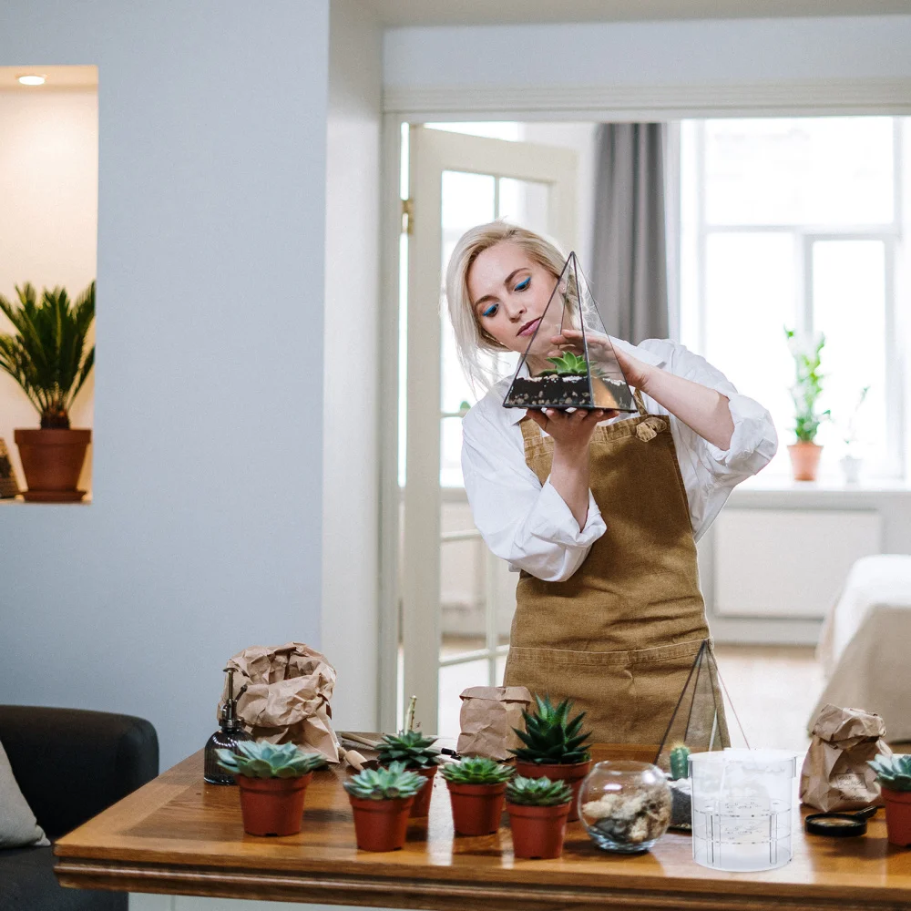 1pc Floral Presents Box Empty Inner Hole Plate Preserved Flower Display Box 
1pc Floral Presents Box Empty Inner Hole Plate Preserved Flower Display Box