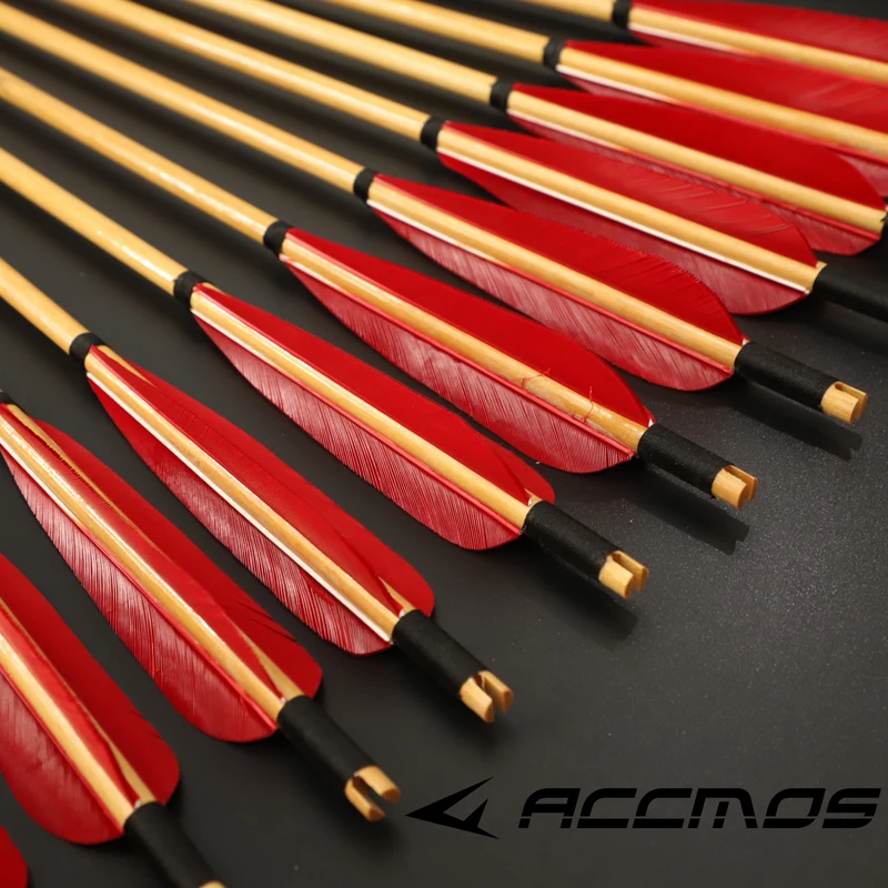 6/12/24pcs Traditional Handmade Wooden Arrows 5" Turkey Feathers Wooden Shaft Nock Target Arows For Archery Recurve Bow
6/12/24pcs Traditional Handmade Wooden Arrows 5" Turkey Feathers Wooden Shaft Nock Target Arows For Archery Recurve Bow