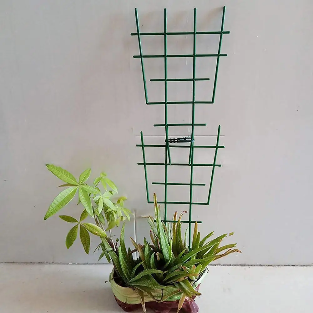 Climbing Bracket Plant Support Ring Support Cage Garden Flowers Tomato Vine Trellis Durable Rings Creative Rack Climbing St L7B7 
Climbing Bracket Plant Support Ring Support Cage Garden Flowers Tomato Vine Trellis Durable Rings Creative Rack Climbing St L7B7