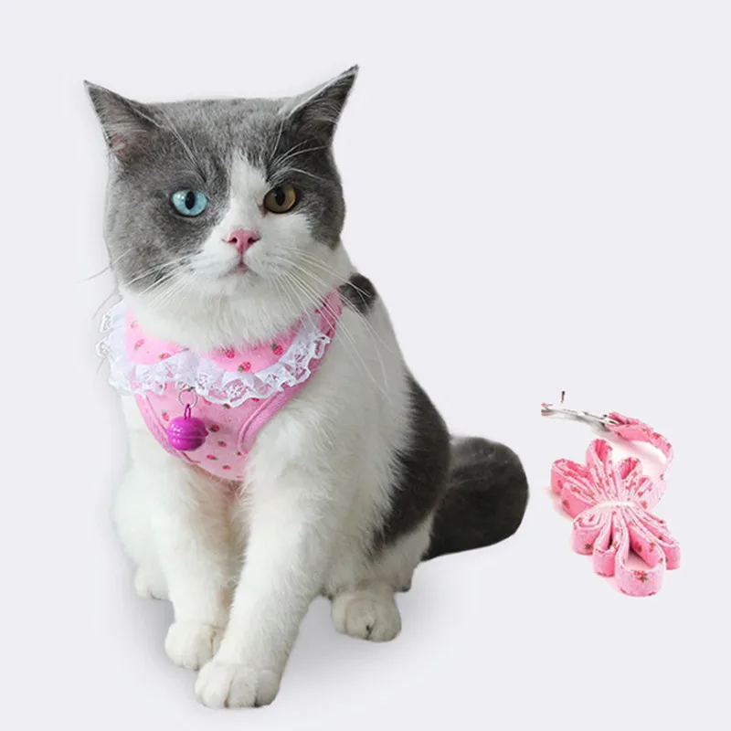 Cat Traction Rope Vest-style Anti-breakaway Lovely Cat Chest Harness Comfortable and Breathable Cat Walking Rope Pet Supplies
Cat Traction Rope Vest-style Anti-breakaway Lovely Cat Chest Harness Comfortable and Breathable Cat Walking Rope Pet Supplies