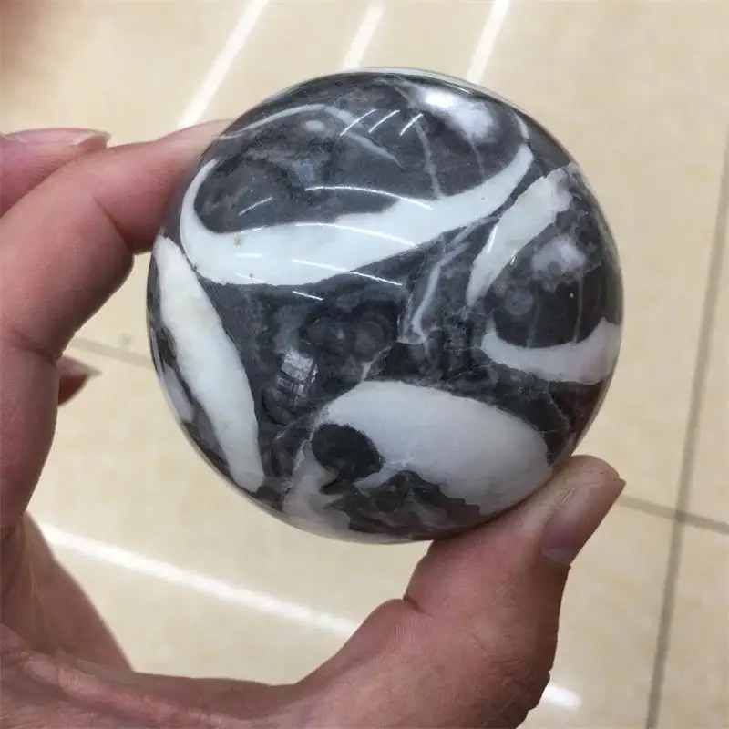 Natural shell stone ball mineral ball room decoration Reiqi healing home decoration aquarium decoration
Natural shell stone ball mineral ball room decoration Reiqi healing home decoration aquarium decoration
