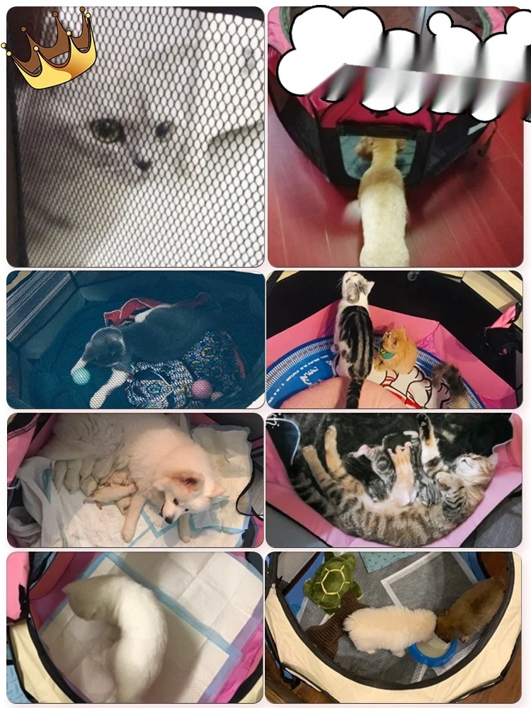 Cat Delivery Room, Cat Pregnancy Tent, Kennel Breeding Production Box, Production Supplies, Full Set of Pet Supplies Cat Cage
Cat Delivery Room, Cat Pregnancy Tent, Kennel Breeding Production Box, Production Supplies, Full Set of Pet Supplies Cat Cage