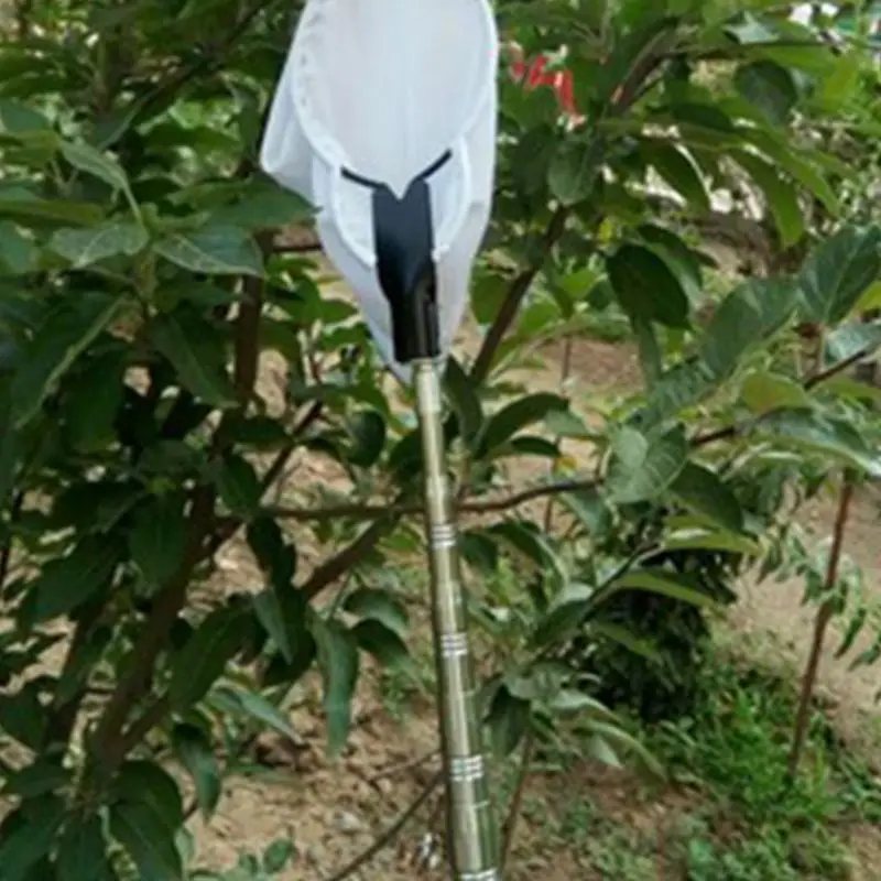 Two Way Metal Blade Fruit Picker High Tree Pear Jujube Picking Tools Orchard Kit
Two Way Metal Blade Fruit Picker High Tree Pear Jujube Picking Tools Orchard Kit