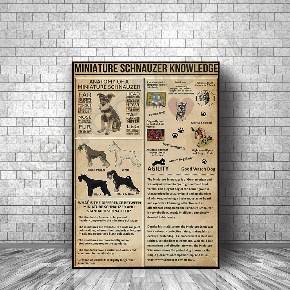 Mini schnauzer knowledge poster, dog poster retro, dog wall art, pet poster, dog lover's gift, animal knowledge poster
Mini schnauzer knowledge poster, dog poster retro, dog wall art, pet poster, dog lover's gift, animal knowledge poster
