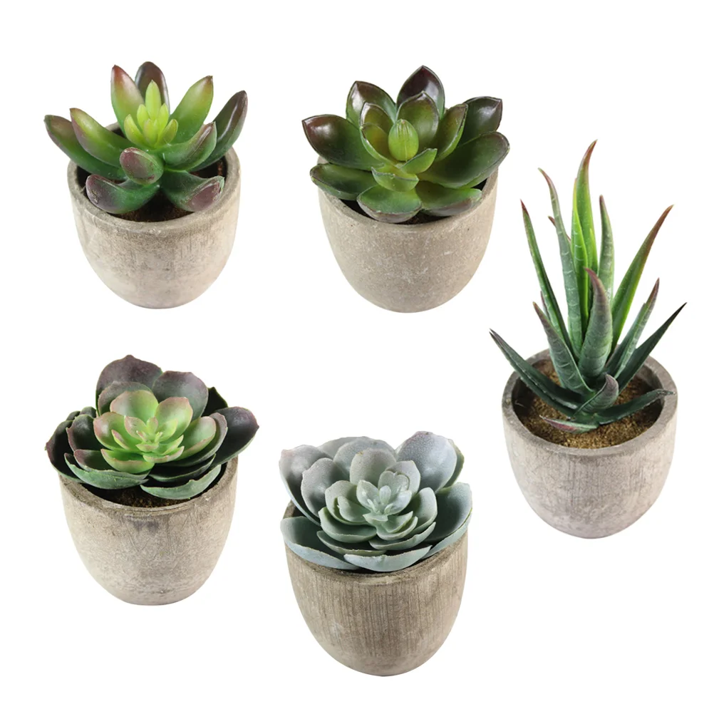 5pcs Decorative Faux Succulent Artificial Succulent Fake Simulation Plants with Pots
5pcs Decorative Faux Succulent Artificial Succulent Fake Simulation Plants with Pots