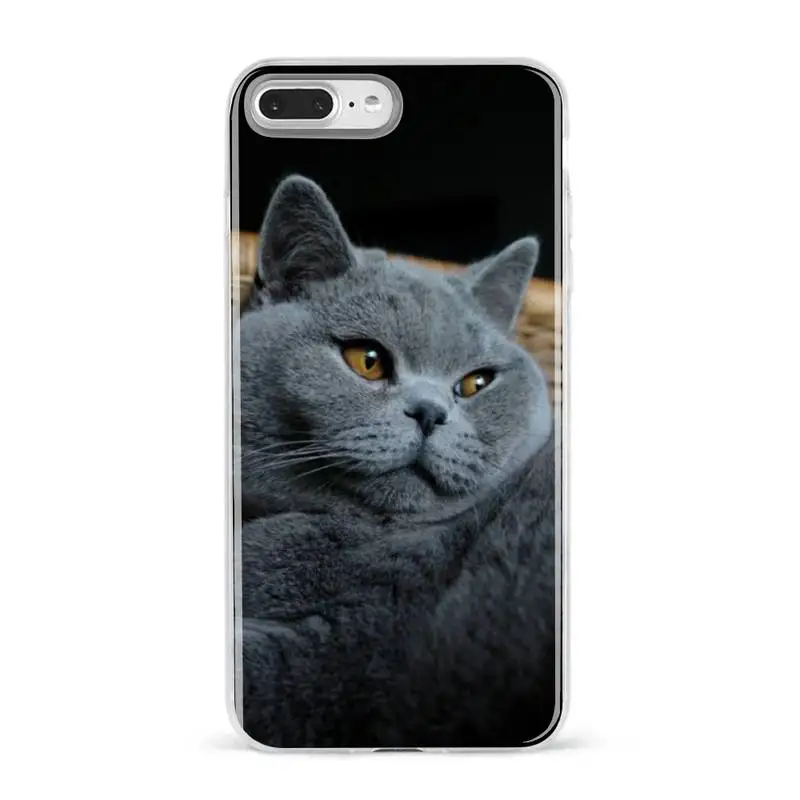 British Shorthair cat Top Design Phone Case Soft Silicone TPU for iPhone 12 pro MAX 11 mini xs 8 7 6 6S Plus X 5S SE 2020 XR 
British Shorthair cat Top Design Phone Case Soft Silicone TPU for iPhone 12 pro MAX 11 mini xs 8 7 6 6S Plus X 5S SE 2020 XR