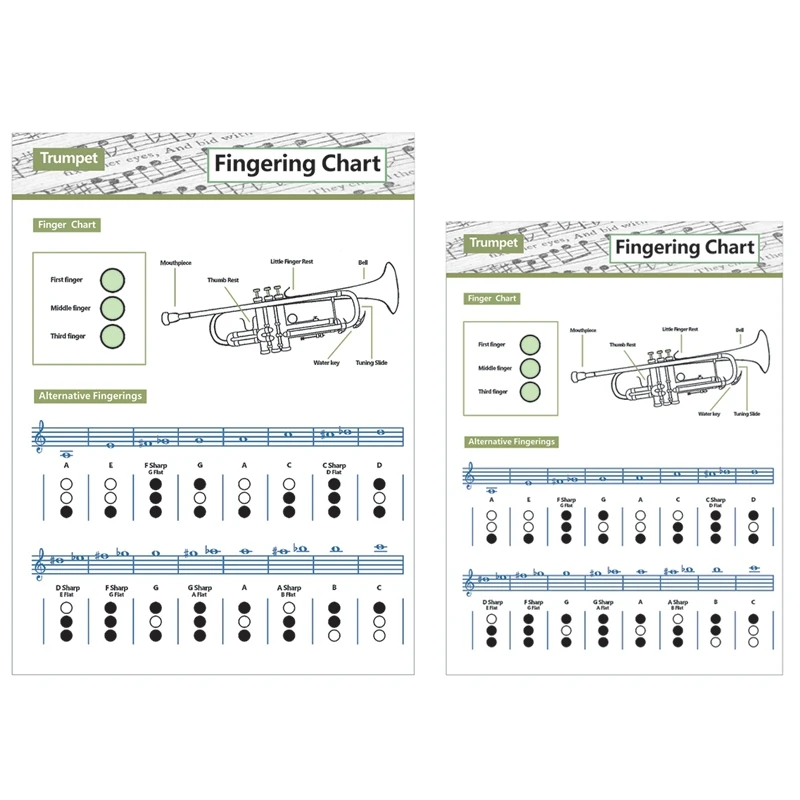 Trumpet Practice Chart Chord Trumpet Fingering Chart Trumpet Fingering Chart Music Chords Poster
Trumpet Practice Chart Chord Trumpet Fingering Chart Trumpet Fingering Chart Music Chords Poster