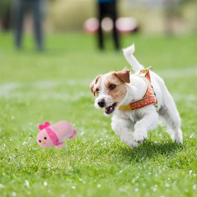 1pc Plush Squeaky Bone Dog Toys Bite-Resistant Clean Dog Chew Puppy Training Toy Soft Banana Carrot And Vegetable Pet Supplies
1pc Plush Squeaky Bone Dog Toys Bite-Resistant Clean Dog Chew Puppy Training Toy Soft Banana Carrot And Vegetable Pet Supplies