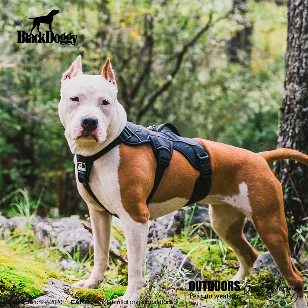 Personalized Dog Harness NO PULL Reflective Breathable Adjustable Pet Harness For Small large Dog Harness Vest With Custom patch
Personalized Dog Harness NO PULL Reflective Breathable Adjustable Pet Harness For Small large Dog Harness Vest With Custom patch