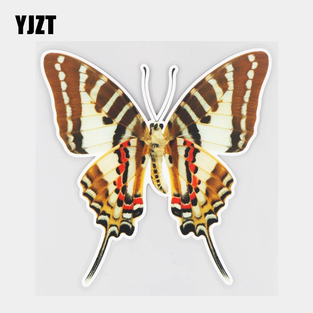YJZT 15.7×16CM Beautiful And Unique Butterfly Body Scratch Cover Decoration Animal Car Sticker 21A-1007
YJZT 15.7×16CM Beautiful And Unique Butterfly Body Scratch Cover Decoration Animal Car Sticker 21A-1007