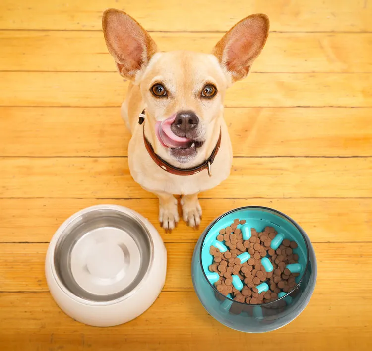QQQPET New Design Dog Slower Feeder Bowl Spill-Proof Pet Tumbler Bowl Large for Fast Eaters Puzzle Toys Slow Feeder IQ Training
QQQPET New Design Dog Slower Feeder Bowl Spill-Proof Pet Tumbler Bowl Large for Fast Eaters Puzzle Toys Slow Feeder IQ Training