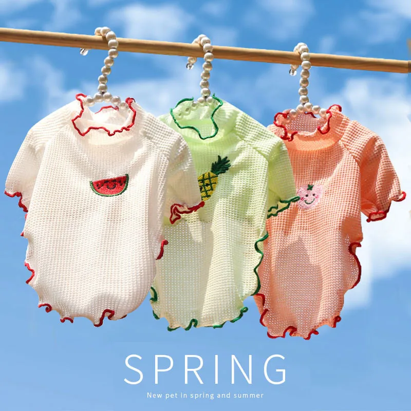 Summer Fruit Print Dog Clothes Small Dogs Cats T-shirt Pet Breathable Puppy T-shirt Solid Cat Dog Bottom Clothing
Summer Fruit Print Dog Clothes Small Dogs Cats T-shirt Pet Breathable Puppy T-shirt Solid Cat Dog Bottom Clothing
