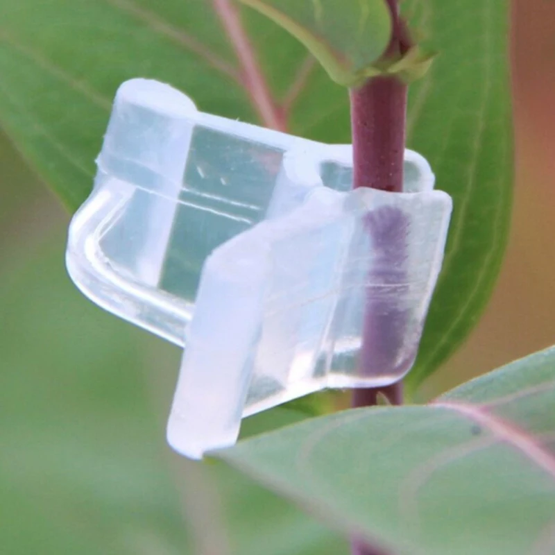 50 Pcs Mini Transparent Flower Plants Grafting Clips Gardening Tools - UK Seller
50 Pcs Mini Transparent Flower Plants Grafting Clips Gardening Tools - UK Seller