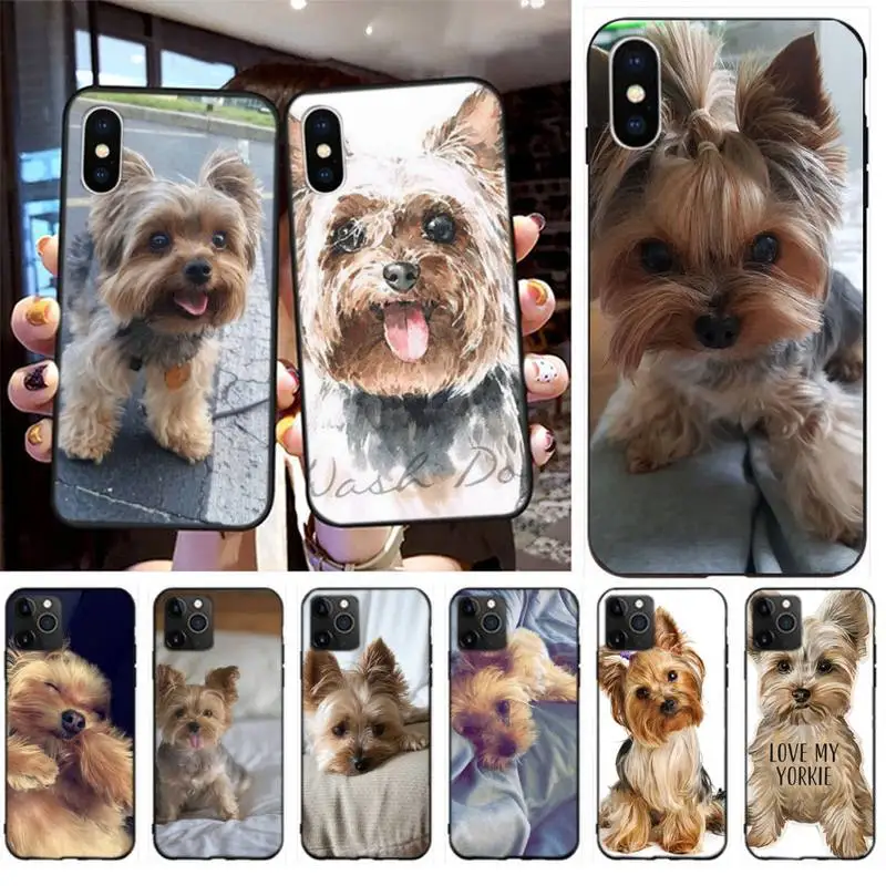 Yorkshire Terrier Dog Soft Cover Phone Case For Iphone 6 6s 7 8 Plus XR X XS XSmax 11 12 Pro Mini Max
Yorkshire Terrier Dog Soft Cover Phone Case For Iphone 6 6s 7 8 Plus XR X XS XSmax 11 12 Pro Mini Max